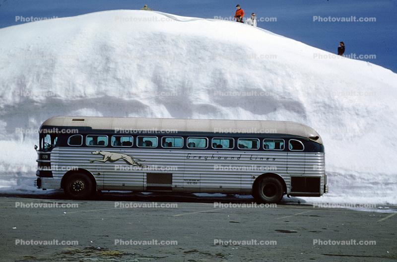 Greyhound Bus, Huge Snow Bank, Crater Lake, 1951, 1950s