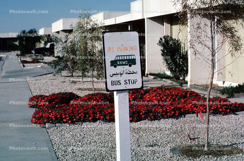 No Parking, Bus stop, KKMC, Saudi Arabia, March 1983, 1980s