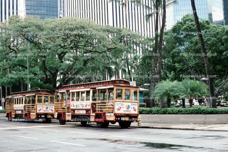 Cable Car buses, Honolulu, Hawaii, 1998