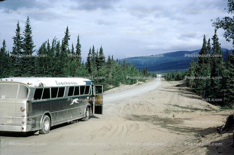 Coachways, Greyhound, Highway, forest, pine, dusty