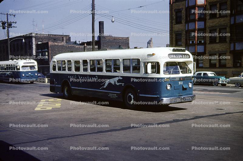 Greyhound Lines, bus, Cleveland, 1950s