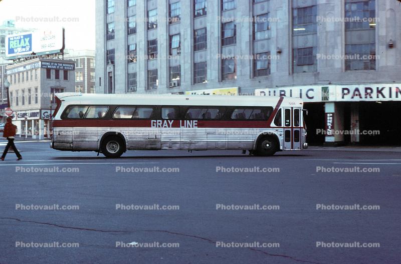 Gray Line Bus