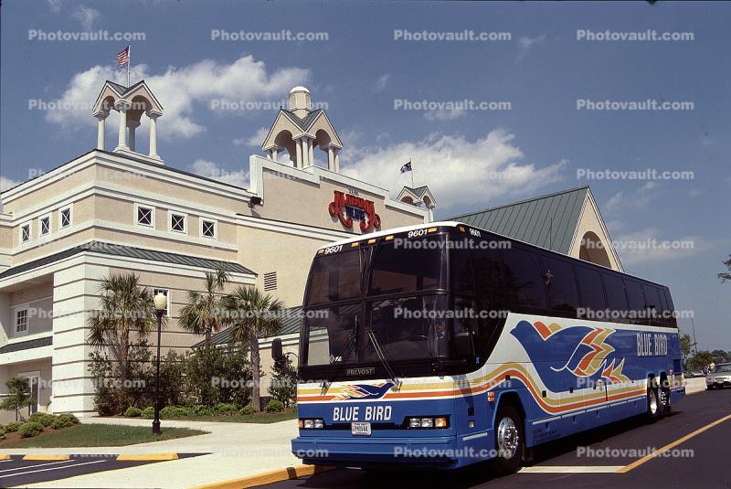 Provost, Blue Bird Bus Lines, The Alabama