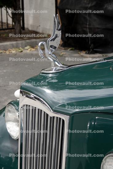 Packard Super-8, Hood Ornament, Swan