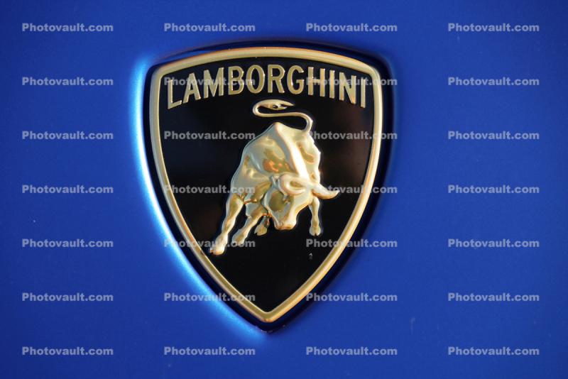 Lamborghini Bull