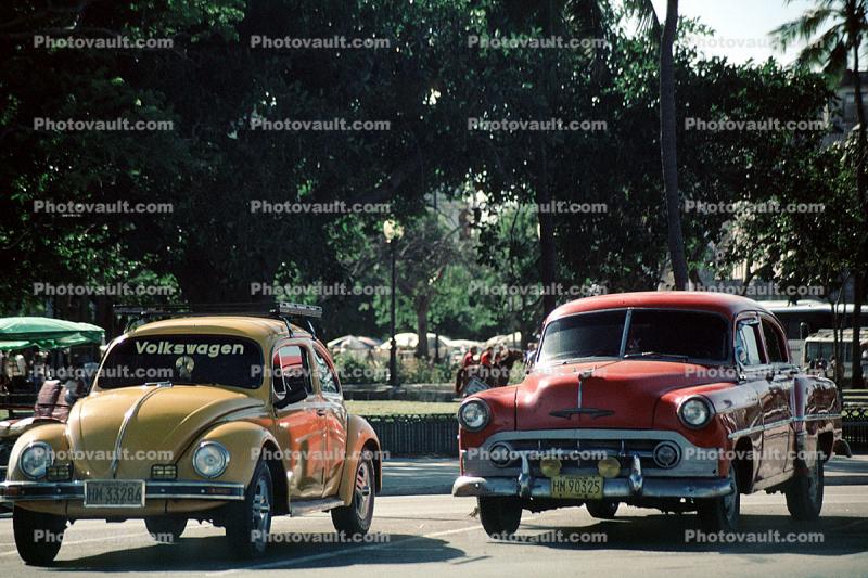 VW-Bug, Volkswagen-Bug, Volkswagen-Beetle, Cars, Automobile, Vehicles, 1950s