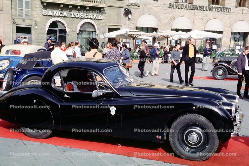 jaguar, automobile, 1950s