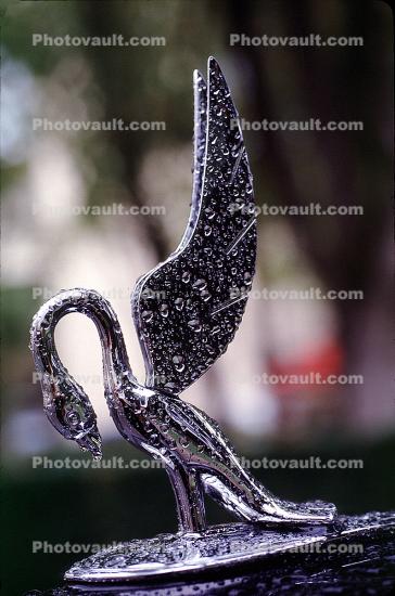 Swan, Hood Ornament, Packard Six