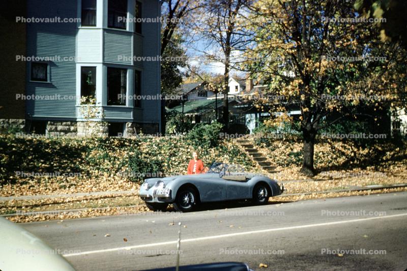 Jaguar sports car, Dora, 1954, 1950s