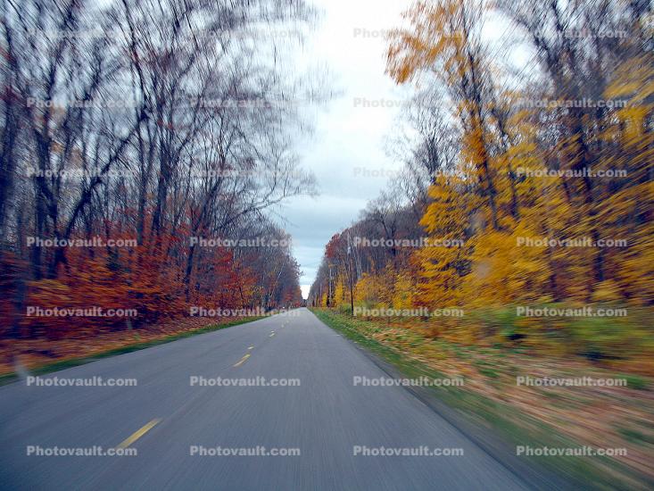 Motion Blur, Fall Colors, Autumn, Deciduous Trees, Woodland, Whitefish Bay, Michigan