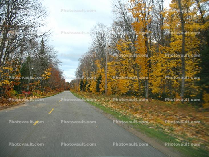 Road, Roadway, Fall Colors, Autumn, Deciduous Trees, Woodland, Whitefish Bay, Michigan
