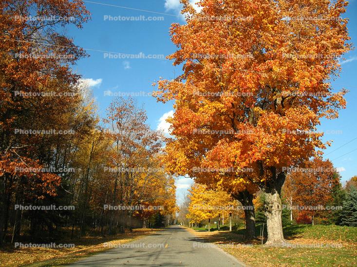 Highway M25, south of Alpena, Michigan, autumn