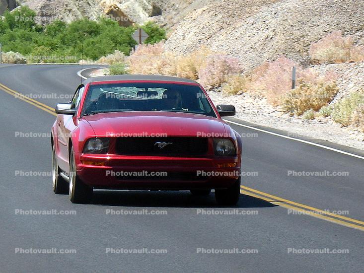 Ford Mustang, car, Vehicle, Southern Nevada near Pahrump, 2000's