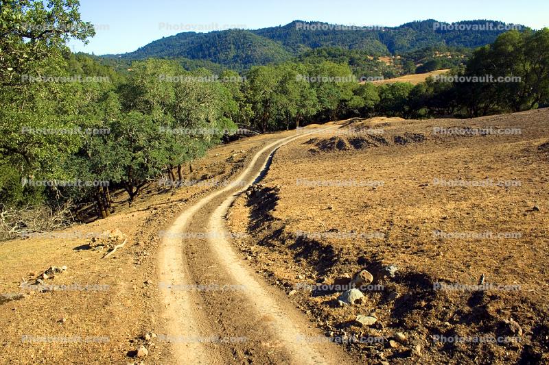 Dirt Road, Sonoma County, Hills, Hillside, unpaved