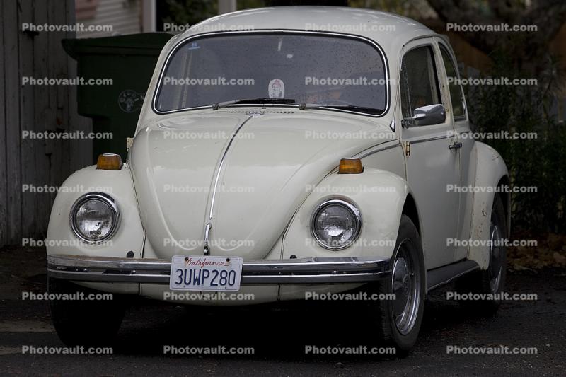 Volkswagen bug, Car, Automobile, 2010's