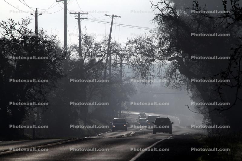 Highway 116, Sebastopol, Winter Haze
