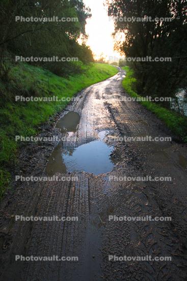 Muddy Road, Two-Rock, Sonoma County