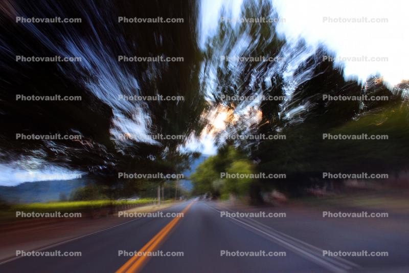 streaky trees, Napa County, California, Highway, Roadway