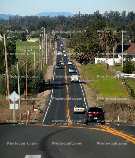 Adobe Road, Petaluma, Yellow Line, Highway, road, cars, trees, Vehicle, Automobile