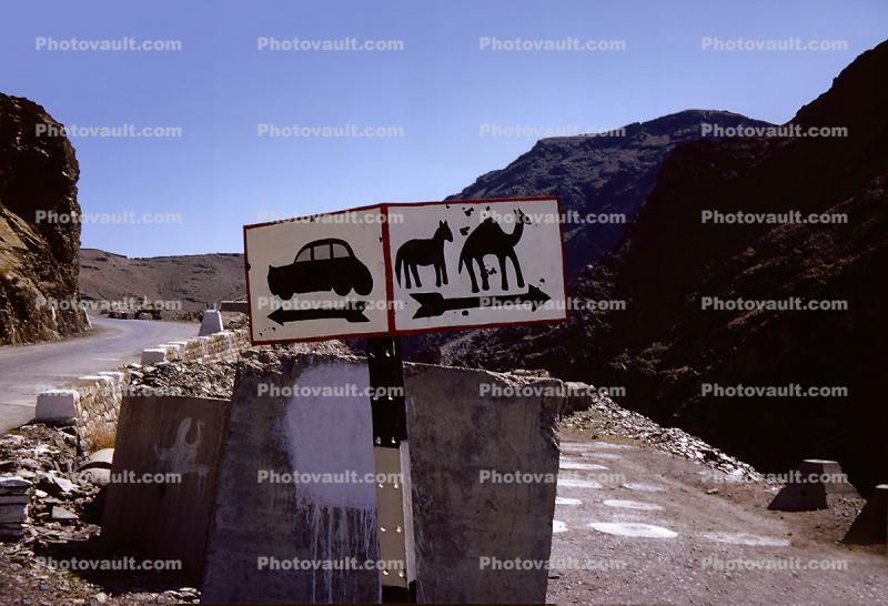 Cars to the Left, Camels to the Right, Kyber Pass Afghanistan, 1950s