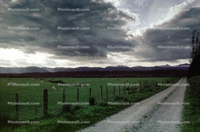 sheep, fence, clouds, fields