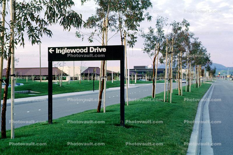 Inglewood Drive, Street, Trees, Road Barrier, Hacienda Business Park