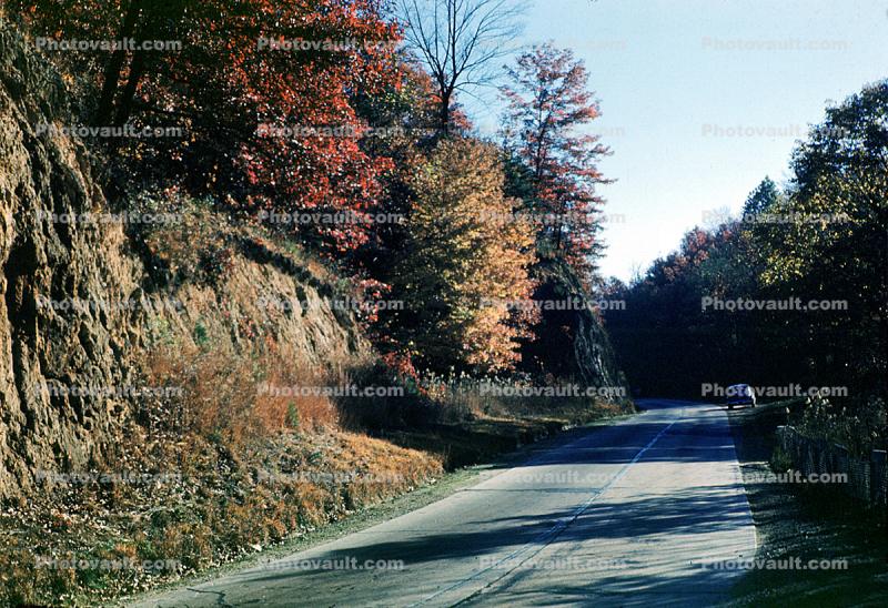 Fall Colors, Autumn, Deciduous Trees, Woodland, Highway, Roadway, Road