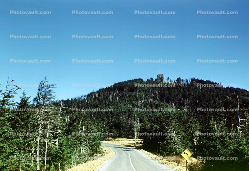 Highway, Roadway, Road, Hill, Forest