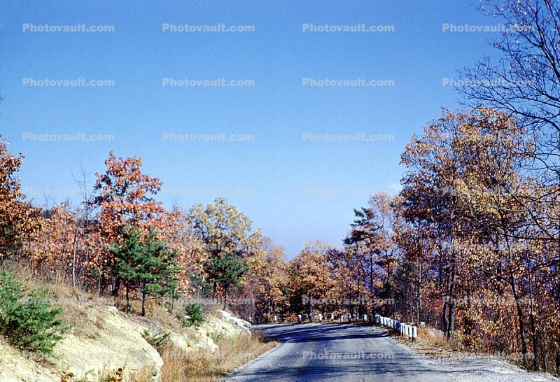 Highway, Roadway, Road, Fall Colors, Trees, autumn