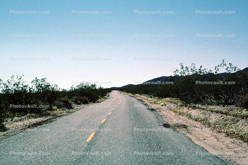 long lonesome road, Joshua Tree National Monument, Highway, Roadway, Road