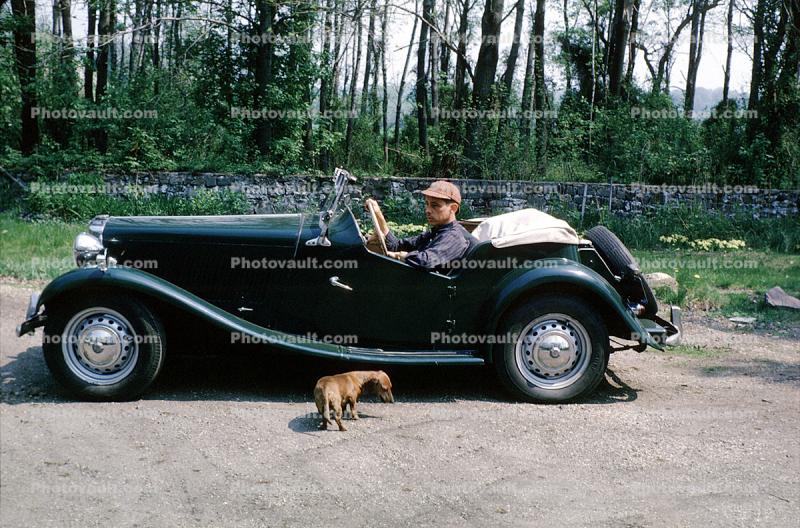 Morris Garage, Dachshund, Wiener Dog, Roadster, small dog breed, 1950s