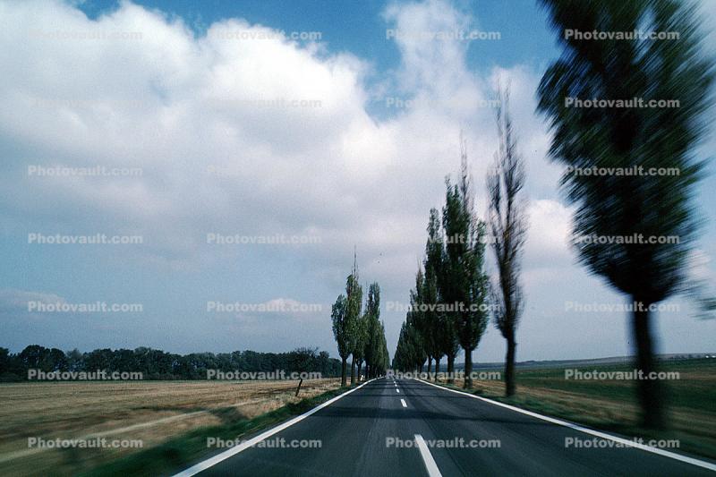 Tree lined Road, Teplice, Highway, Roadway, Road