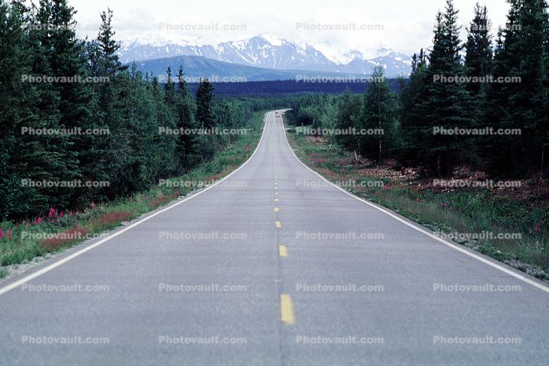 Road, Roadway, Highway-4, Alaska Range