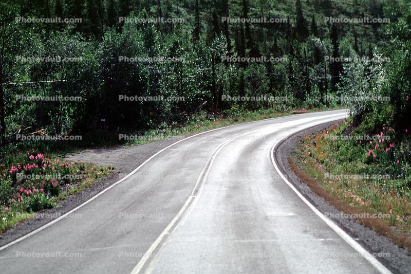 Road, Roadway, Highway-1, Matanuska River Valley
