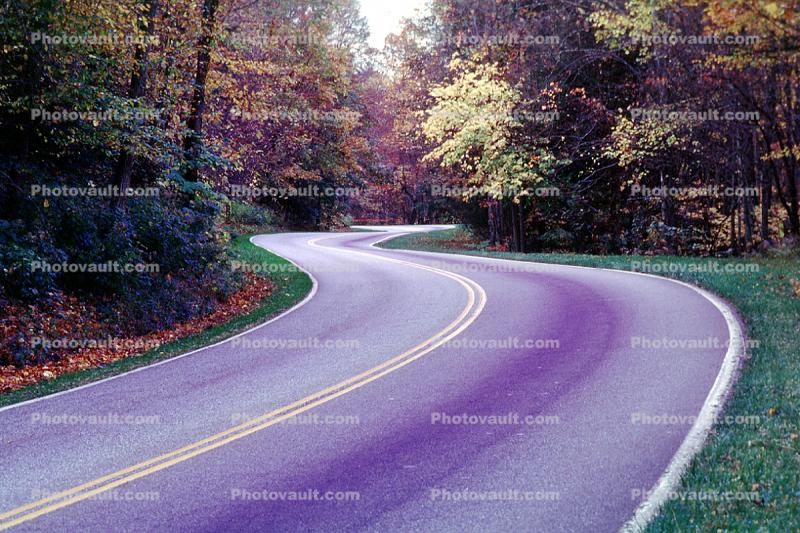 Road, Roadway, Highway 321, North Carolina, autumn