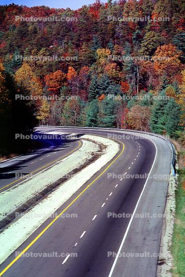 Road, Roadway, Highway 402, autumn