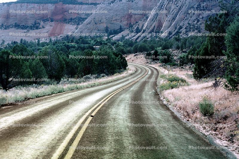 Highway-9, Road, Roadway, Vanishing Point, Zion National Park