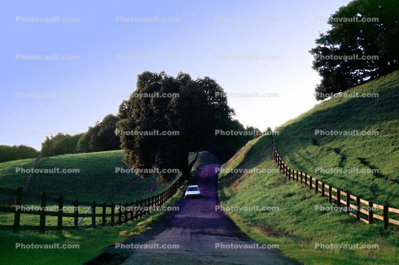 Sonoma Mountain Road, Roadway, Highway, car, fence