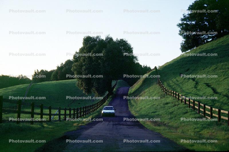 Sonoma Mountain Road, Road, Roadway, Highway, car, fence