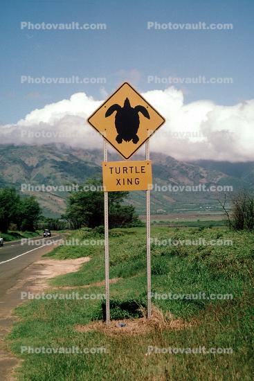 Turtle Crossing, Xing, Maui, Caution, warning