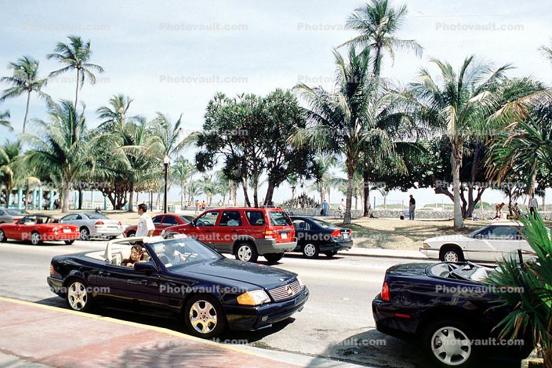 Mercedes Benz, Miami Beach, palm trees, car, sedan, automobile, vehicle