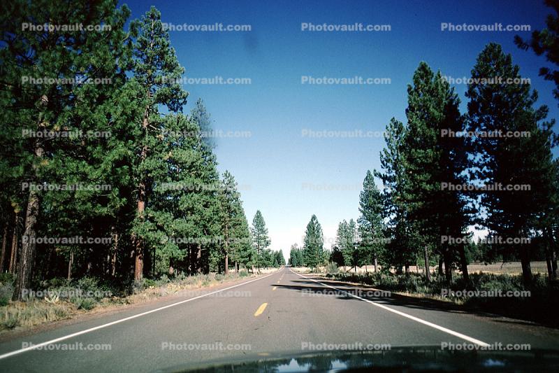 southeast of Lava Beds National Monument, Highway 139, Road, Roadway, Highway