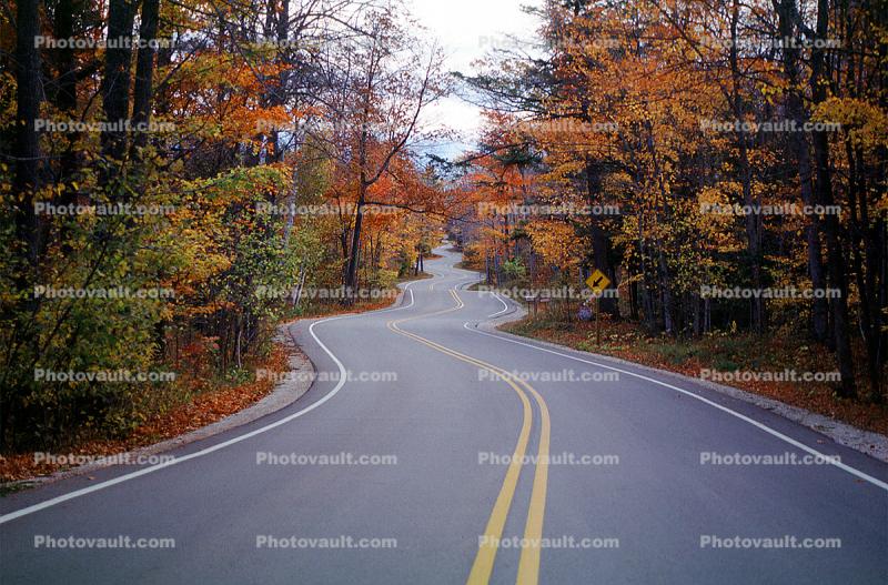 Door County, Road, Roadway, Highway, autumn