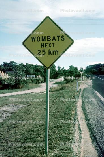Wombats next 25 km