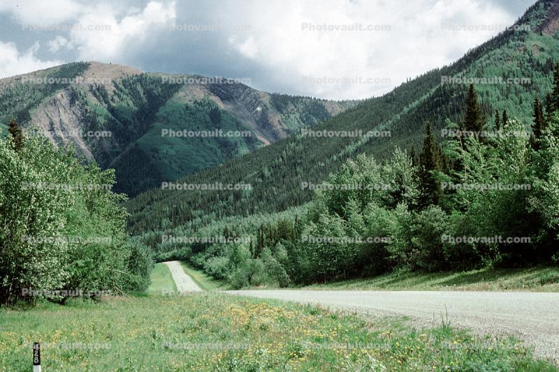 World Famous Alaska Highway, AlCan, Road, Roadway, Highway, forest, mountains