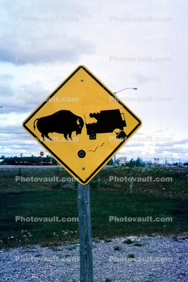 Bison danger, buffalo, funny sign