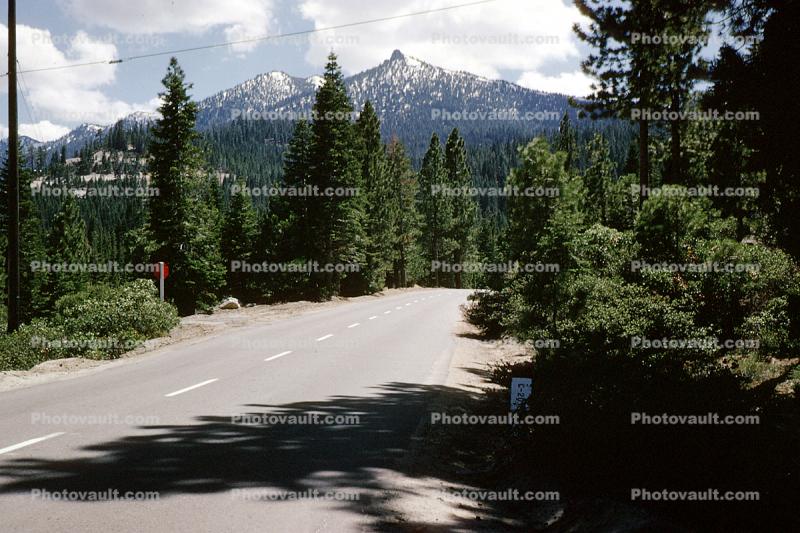 Road, Roadway, Highway, Trees, forestland, hills, mountains, snow, bushes