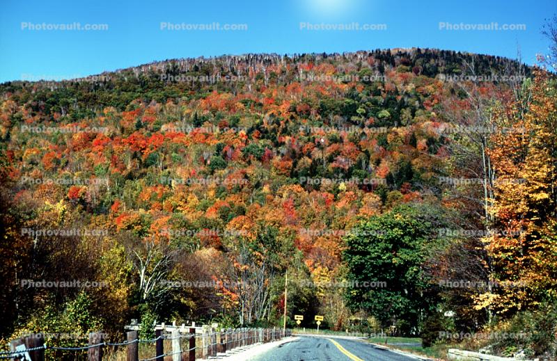 Road, Highway, Fall Colors, autumn, Vermont, USA