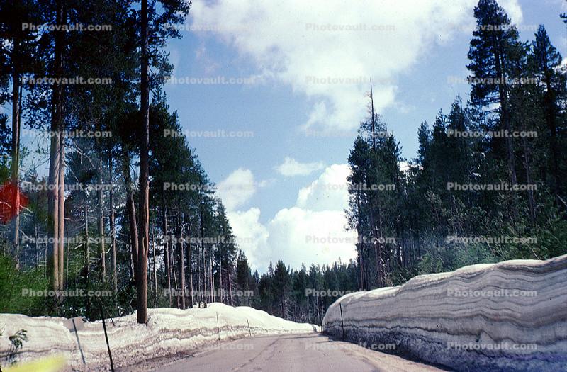 Road, Highway, Huntington Lake, High Sierra Nevada Mountains, California, June 1983, 1980s