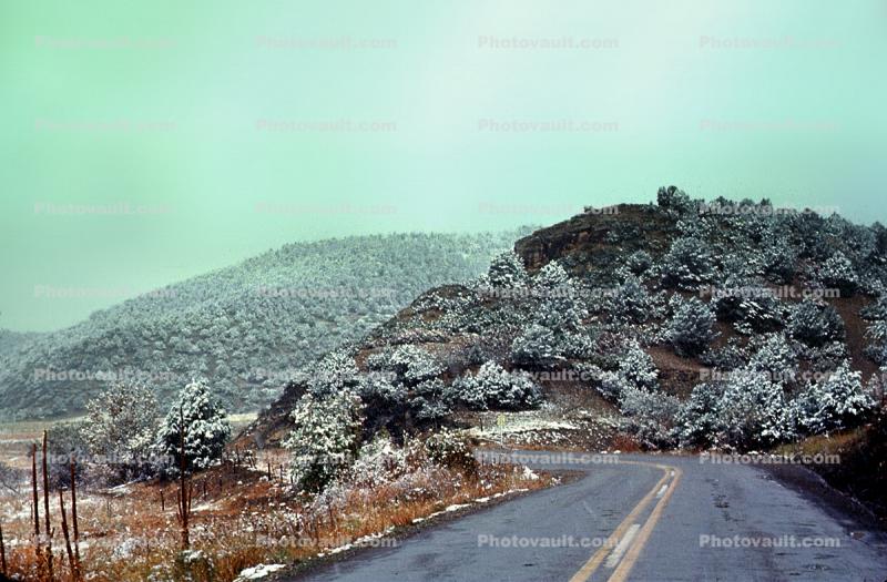 Road, Highway, trees, pine trees, snow, cold, Ice, Frozen, Icy, Winter